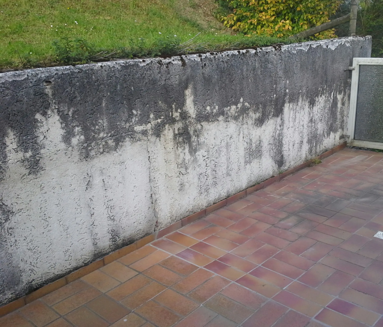 Betonmauer; Vor der Reinigung