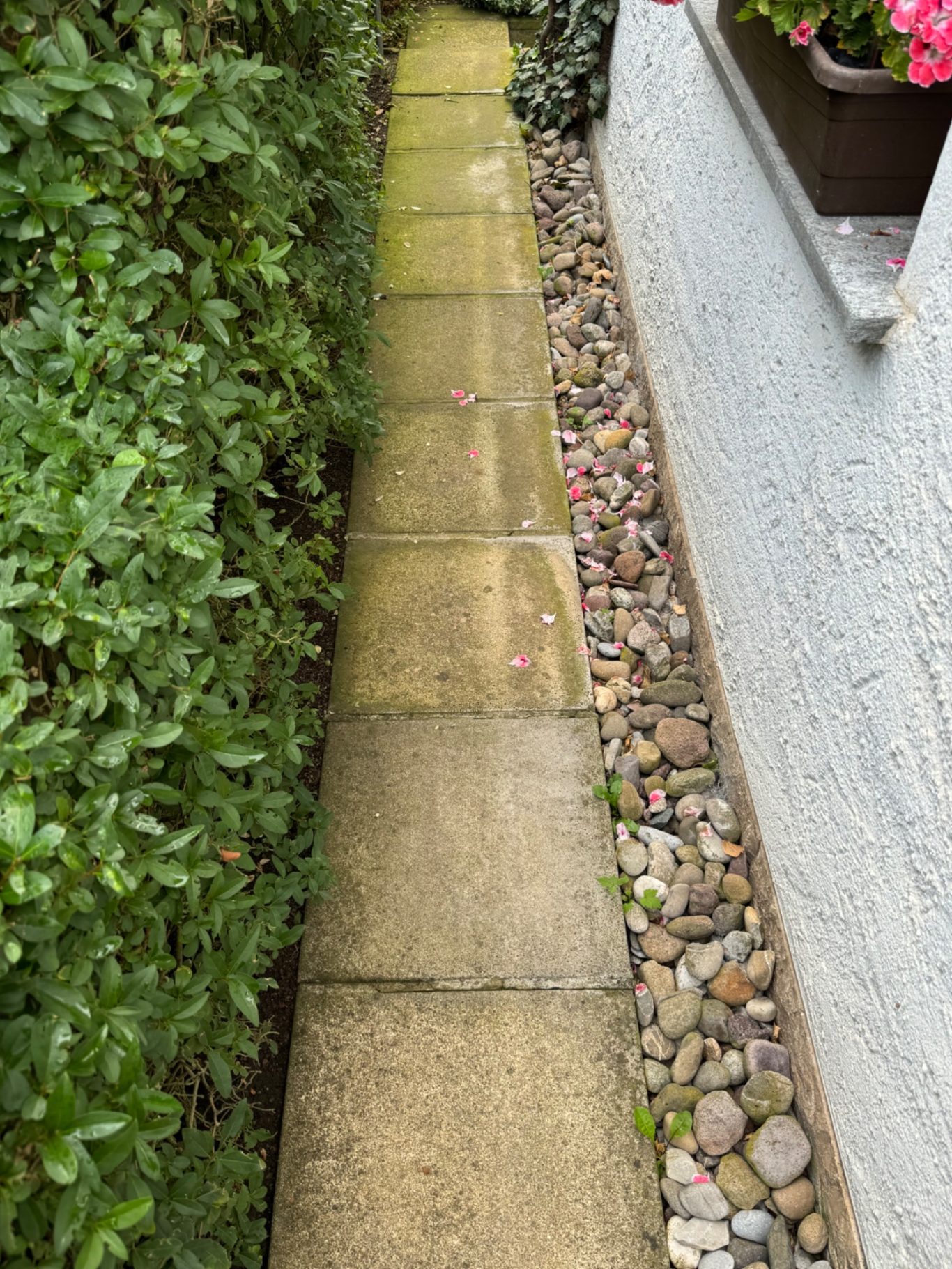 Gehweg - Vor der Reinigung