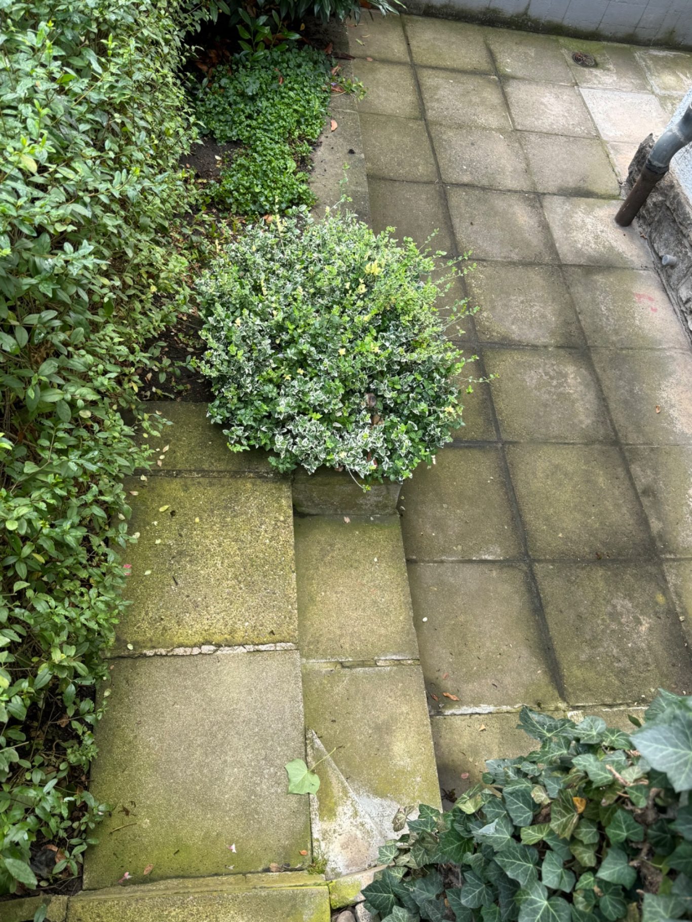 Gehweg - Vor der Reinigung