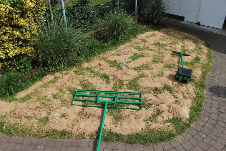 Einarbeiten des Sandes in den Rasen