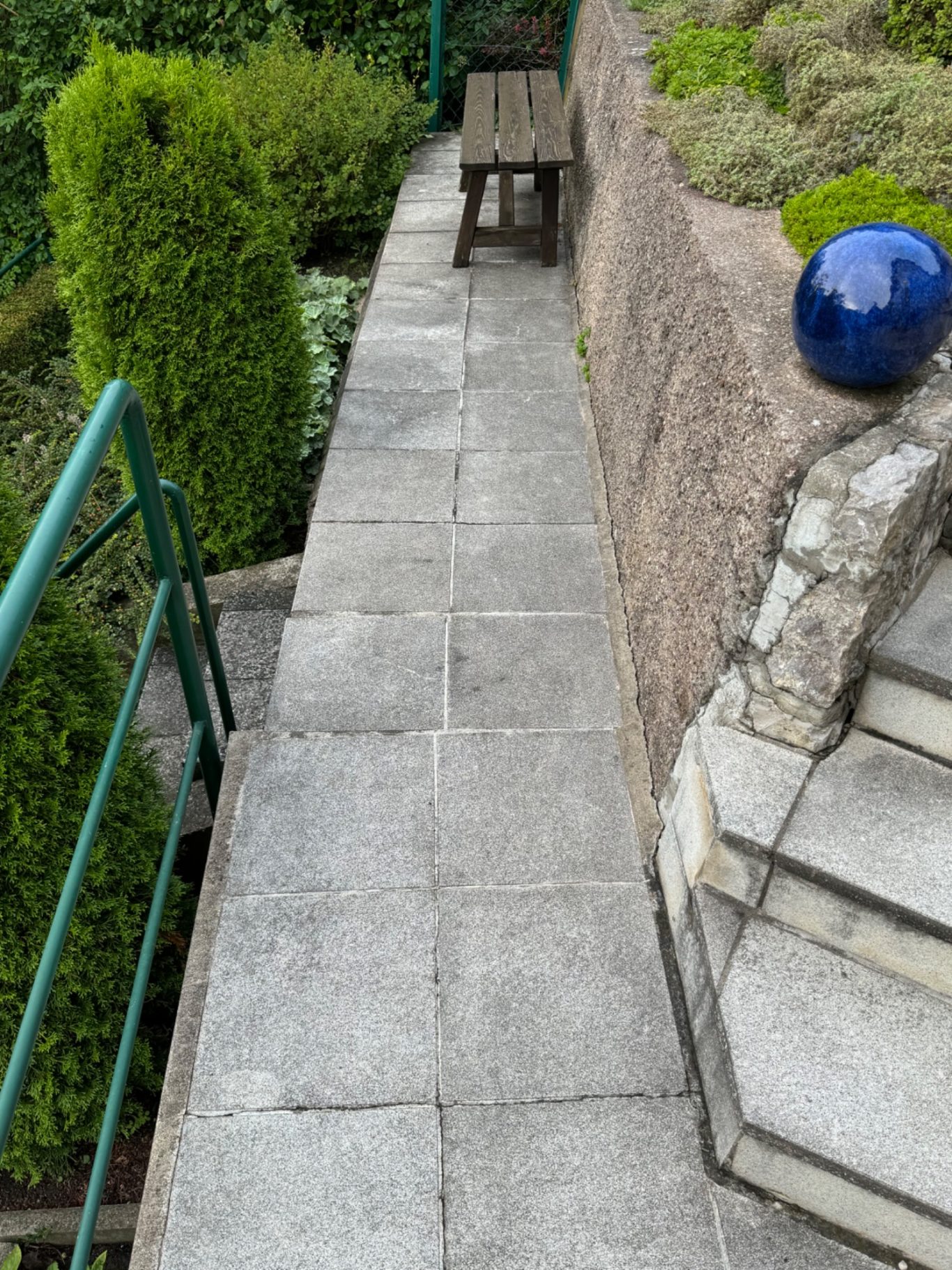 Terrasse/Gehweg - Vor der Reinigung