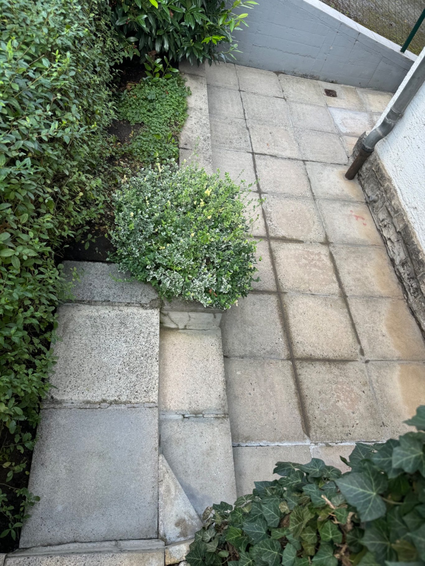 Gehweg - Nach der Reinigung